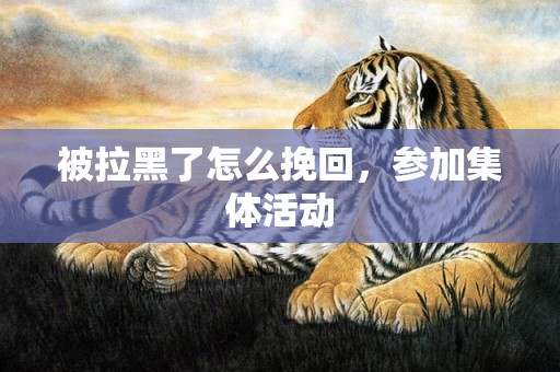 被拉黑了怎么挽回，参加集体活动