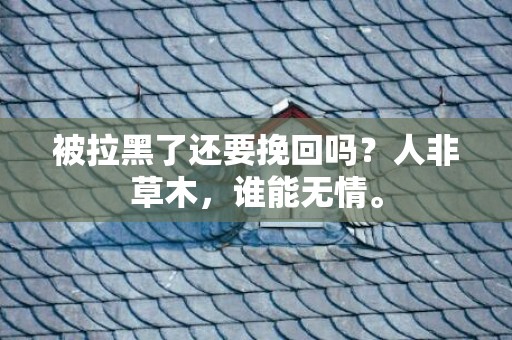 被拉黑了还要挽回吗？人非草木，谁能无情。