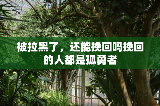 被拉黑了，还能挽回吗挽回的人都是孤勇者