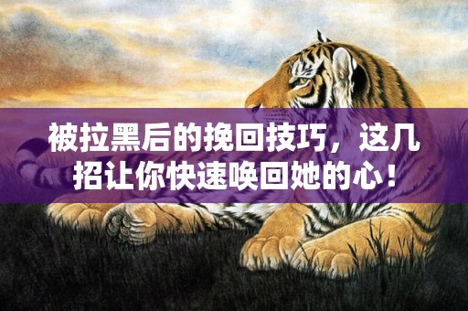 被拉黑后的挽回技巧，这几招让你快速唤回她的心！