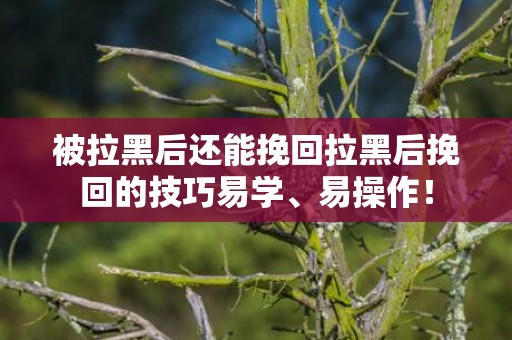 被拉黑后还能挽回拉黑后挽回的技巧易学、易操作！