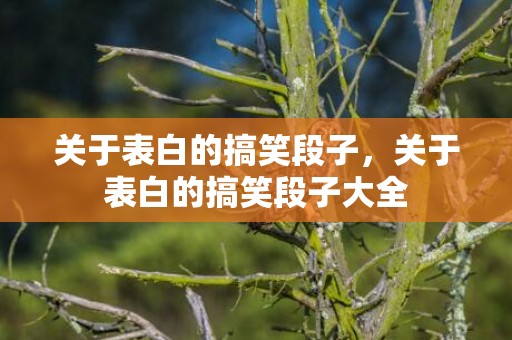 关于表白的搞笑段子，关于表白的搞笑段子大全