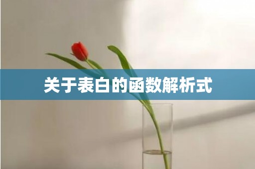 关于表白的函数解析式