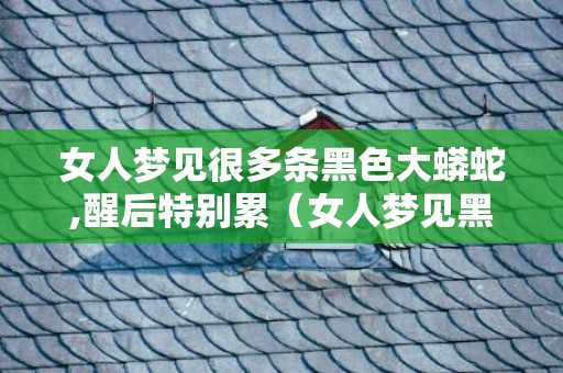 女人梦见很多条黑色大蟒蛇,醒后特别累（女人梦见黑色蟒蛇是什么意思女人梦见一条黑色蟒蛇）