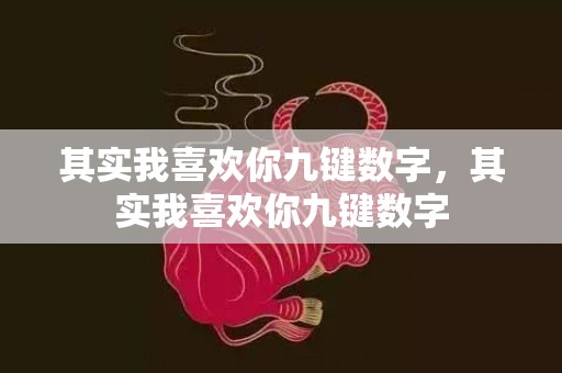 其实我喜欢你九键数字，其实我喜欢你九键数字