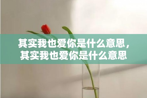 其实我也爱你是什么意思，其实我也爱你是什么意思