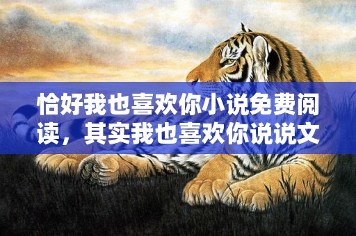 恰好我也喜欢你小说免费阅读，其实我也喜欢你说说文案