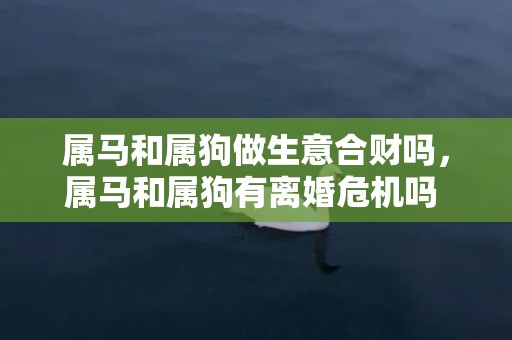 属马和属狗做生意合财吗，属马和属狗有离婚危机吗 做朋友合适吗
