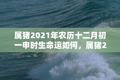 属猪2021年农历十二月初一申时生命运如何，属猪2021年农历四月财运解析 金钱运势一般