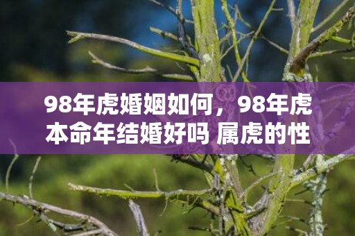 98年虎婚姻如何，98年虎本命年结婚好吗 属虎的性格，爱情和事业
