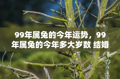 99年属兔的今年运势，99年属兔的今年多大岁数 结婚最佳年龄