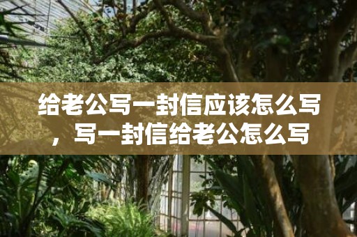 给老公写一封信应该怎么写，写一封信给老公怎么写