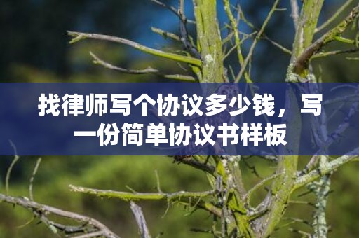 找律师写个协议多少钱，写一份简单协议书样板