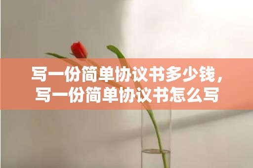 写一份简单协议书多少钱，写一份简单协议书怎么写