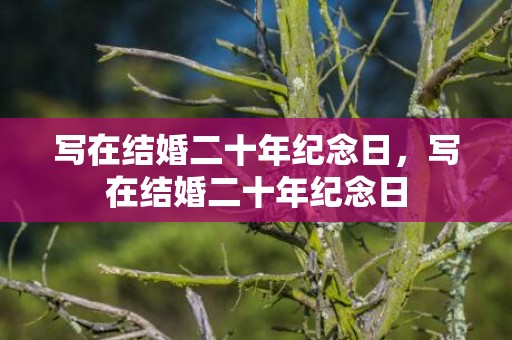 写在结婚二十年纪念日，写在结婚二十年纪念日