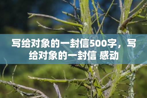 写给对象的一封信500字，写给对象的一封信 感动