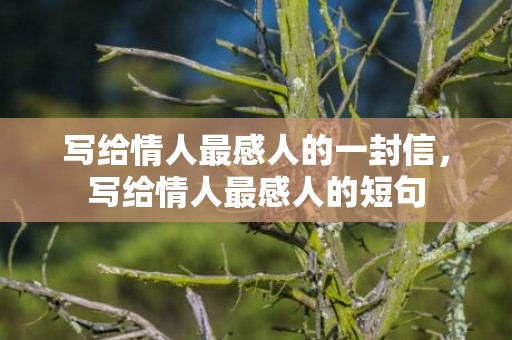 写给情人最感人的一封信，写给情人最感人的短句
