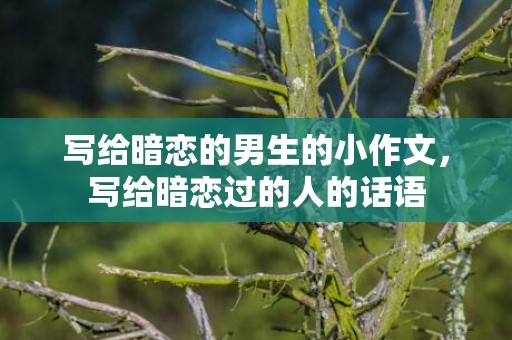 写给暗恋的男生的小作文，写给暗恋过的人的话语