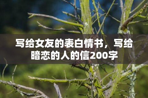 写给女友的表白情书，写给暗恋的人的信200字