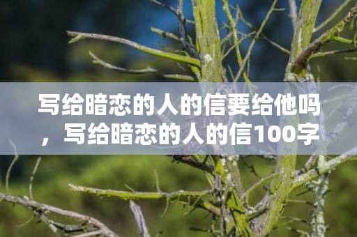 写给暗恋的人的信要给他吗，写给暗恋的人的信100字