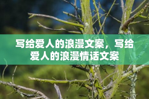 写给爱人的浪漫文案，写给爱人的浪漫情话文案