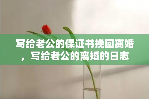 写给老公的保证书挽回离婚，写给老公的离婚的日志
