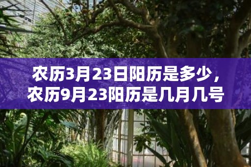 农历3月23日阳历是多少，农历9月23阳历是几月几号