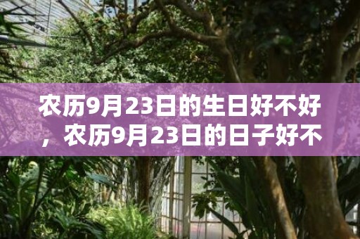农历9月23日的生日好不好，农历9月23日的日子好不好