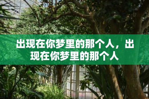 出现在你梦里的那个人，出现在你梦里的那个人