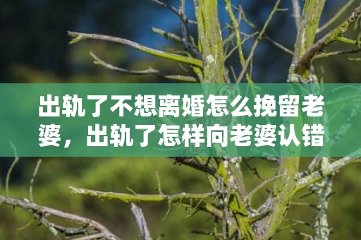 出轨了不想离婚怎么挽留老婆，出轨了怎样向老婆认错