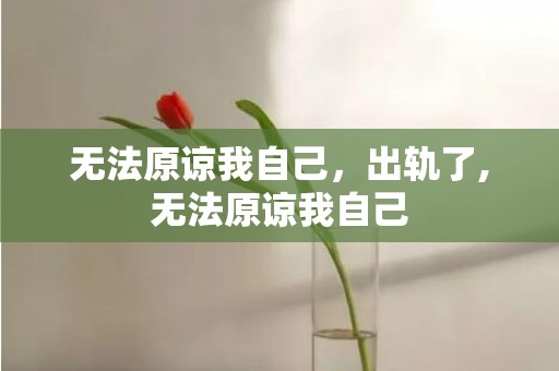无法原谅我自己，出轨了,无法原谅我自己