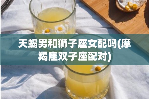 天蝎男和狮子座女配吗(摩羯座双子座配对)