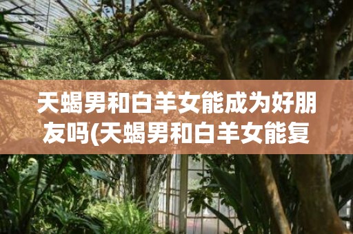 天蝎男和白羊女能成为好朋友吗(天蝎男和白羊女能复合吗)