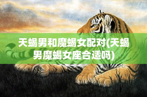 天蝎男和魔蝎女配对(天蝎男魔蝎女座合适吗)