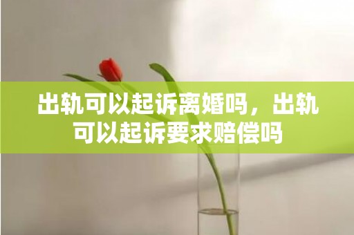 出轨可以起诉离婚吗，出轨可以起诉要求赔偿吗