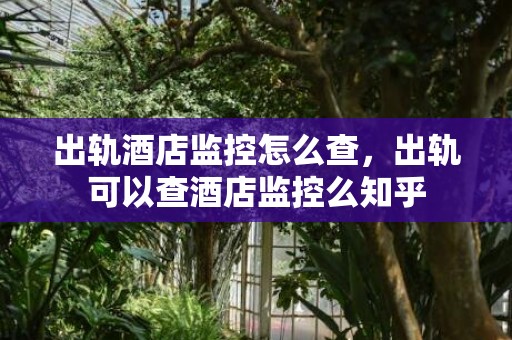 出轨酒店监控怎么查，出轨可以查酒店监控么知乎