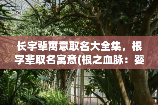 长字辈寓意取名大全集，根字辈取名寓意(根之血脉：婴儿取名指南)