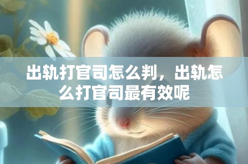 出轨打官司怎么判，出轨怎么打官司最有效呢