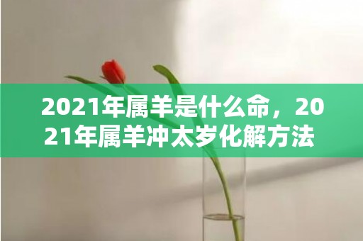 2021年属羊是什么命，2021年属羊冲太岁化解方法 化太岁锦盒