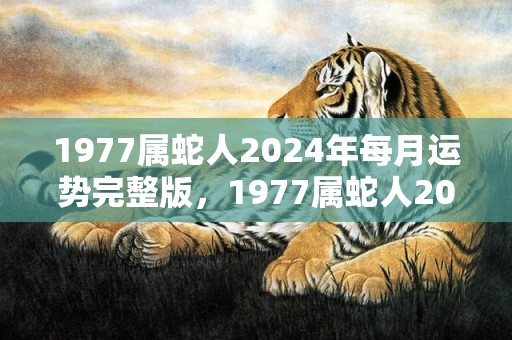 1977属蛇人2024年每月运势完整版，1977属蛇人2021运气 财务状况良好