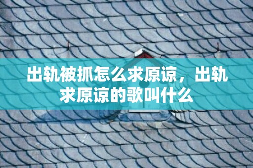 出轨被抓怎么求原谅，出轨求原谅的歌叫什么