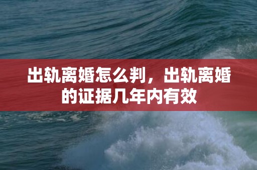 出轨离婚怎么判，出轨离婚的证据几年内有效