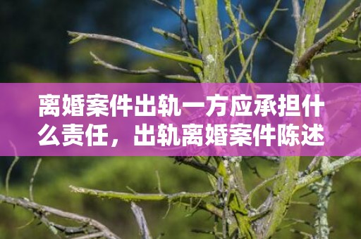 离婚案件出轨一方应承担什么责任，出轨离婚案件陈述材料范文