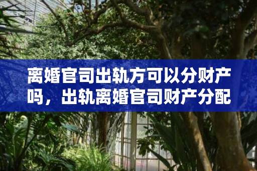 离婚官司出轨方可以分财产吗，出轨离婚官司财产分配案例