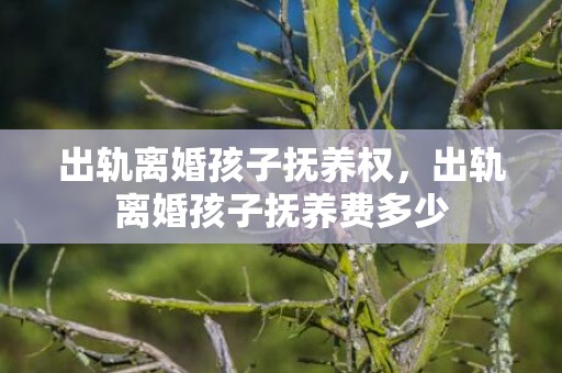 出轨离婚孩子抚养权，出轨离婚孩子抚养费多少