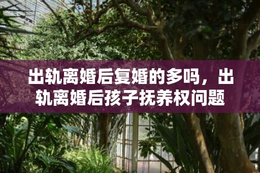 出轨离婚后复婚的多吗，出轨离婚后孩子抚养权问题