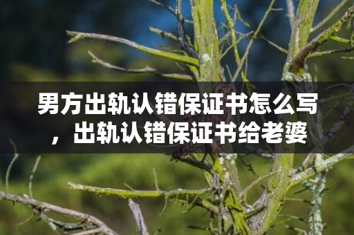 男方出轨认错保证书怎么写，出轨认错保证书给老婆