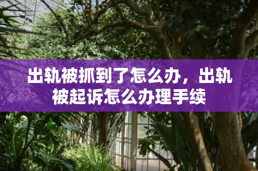 出轨被抓到了怎么办，出轨被起诉怎么办理手续