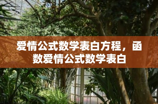 爱情公式数学表白方程，函数爱情公式数学表白