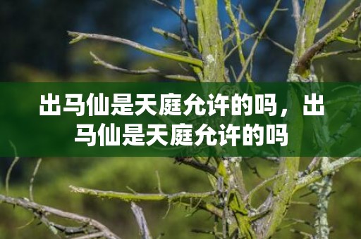 出马仙是天庭允许的吗，出马仙是天庭允许的吗